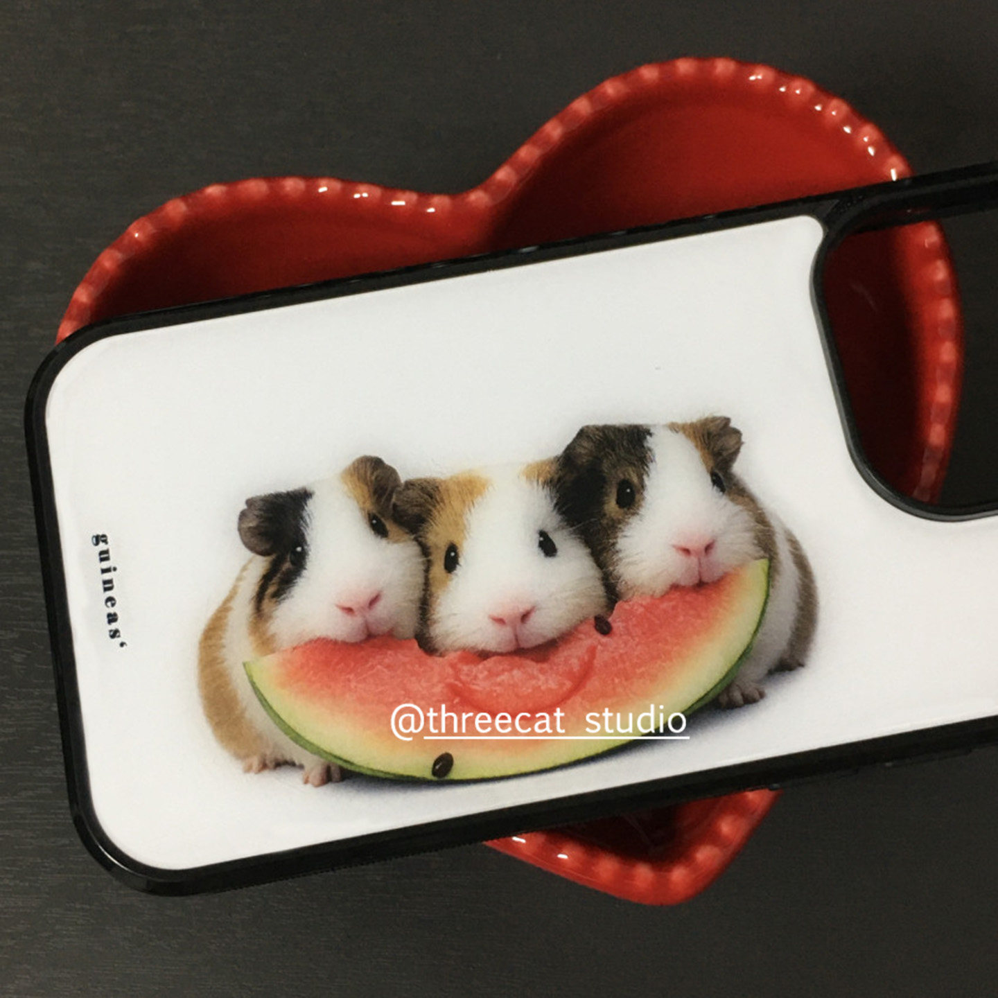 Casing HP Korea Ins Guinea Pig - Phone Cases Korea ulasan dan harga